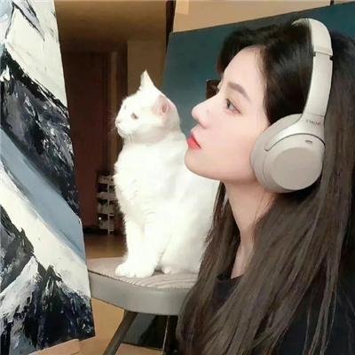 风临樱花开